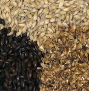 Malted and Unmalted Grains