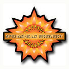 Springhead Brewery Beer Kits